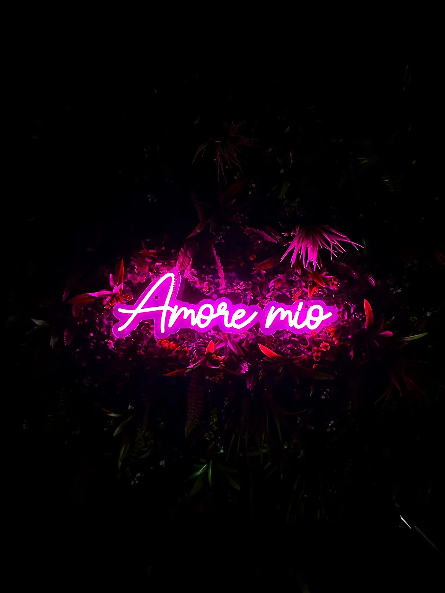 chambre romantique Cannes